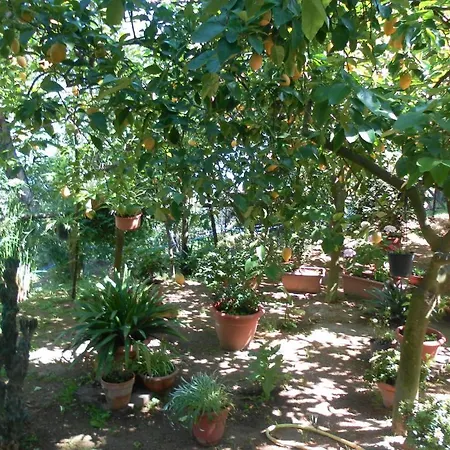 Casa Elena Sorrento